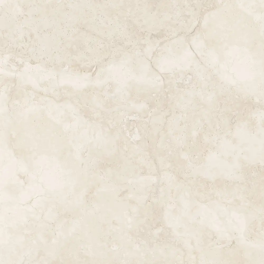 F6956W Polished/MATT Tile
