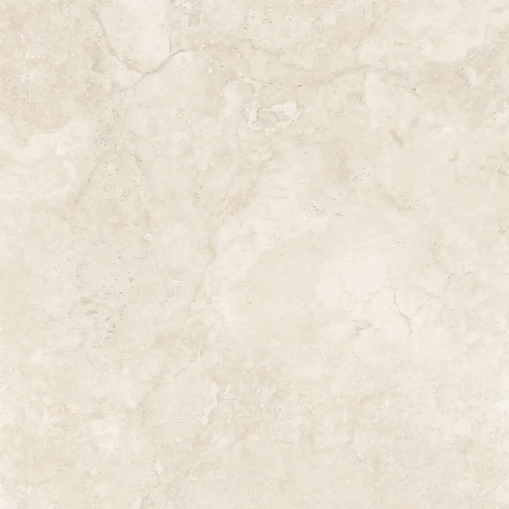 F6956W Polished/MATT Tile