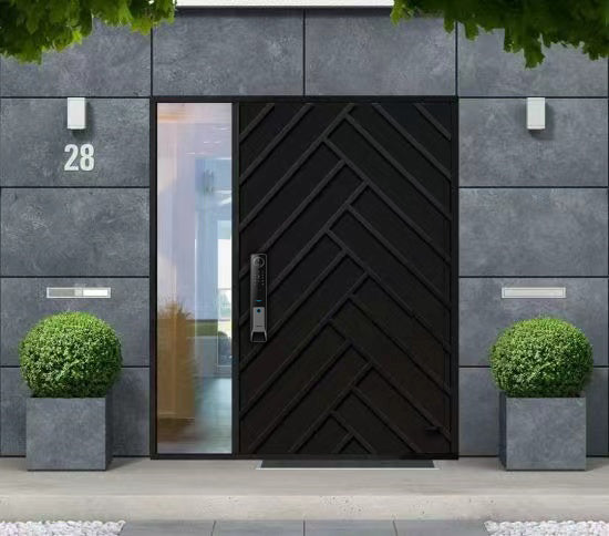 Pivot Door 2