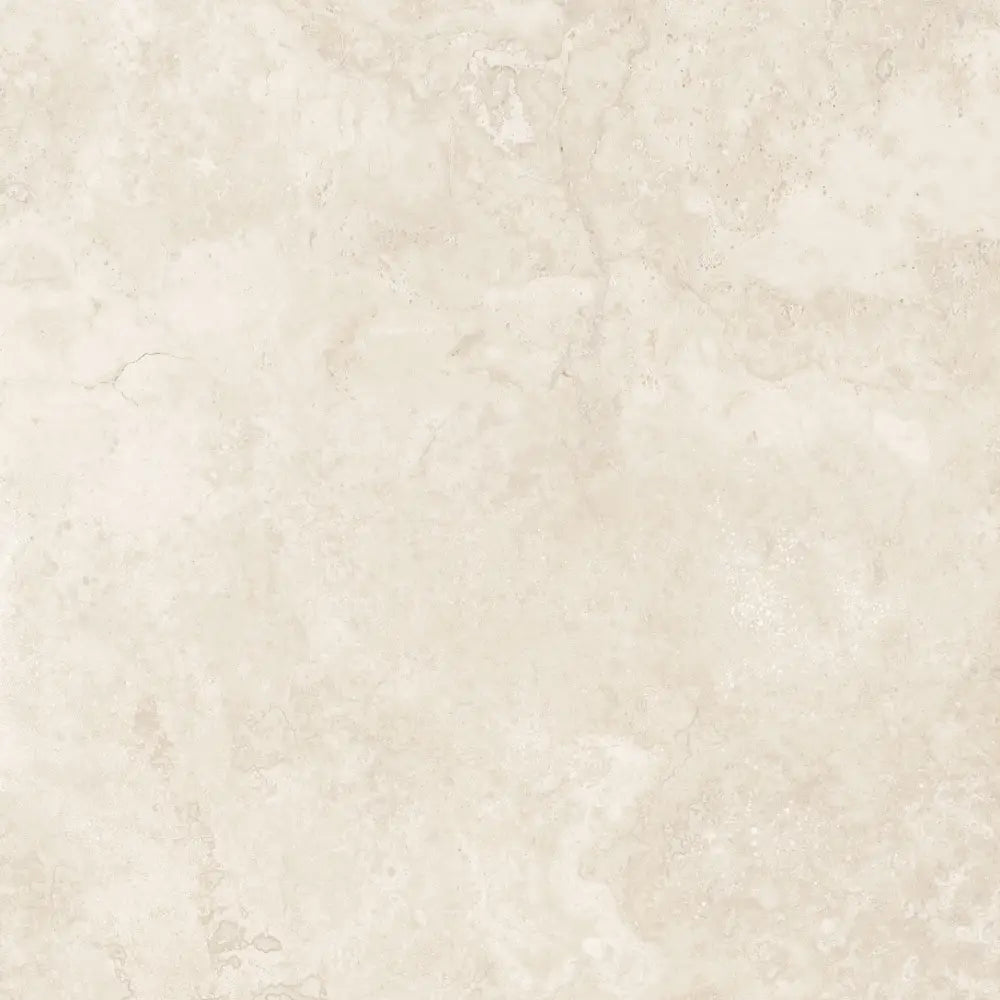 F6956W Polished/MATT Tile