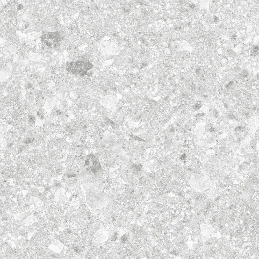 F6998 Polished/MATT Tile