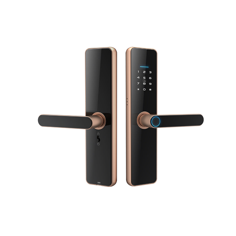 C91 Smart lock